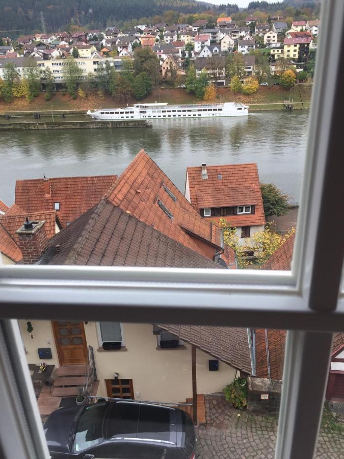 Natur Und Neckarblick Bei Heidelberg Hirschhorn Exterior foto